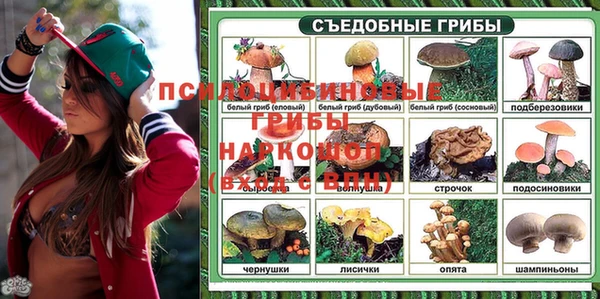 гидропоника Медногорск