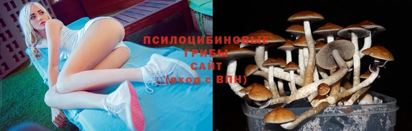 мяу мяу мука Заволжье