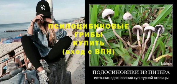ALPHA-PVP Медвежьегорск
