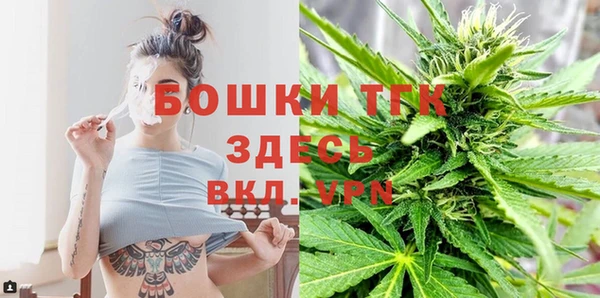 ПСИЛОЦИБИНОВЫЕ ГРИБЫ Заводоуковск