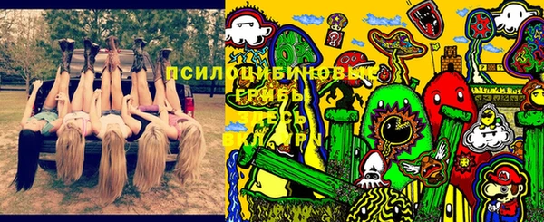 гидропоника Медногорск