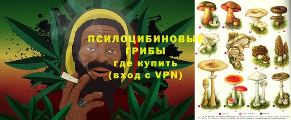 ПСИЛОЦИБИНОВЫЕ ГРИБЫ Заводоуковск