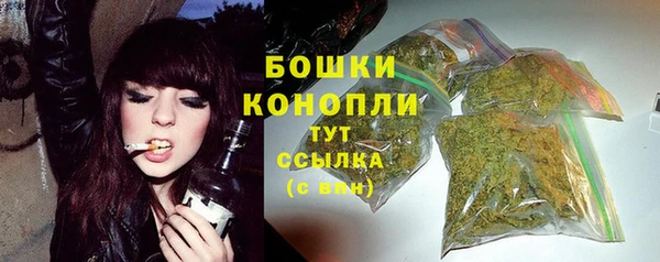 герыч Мегион