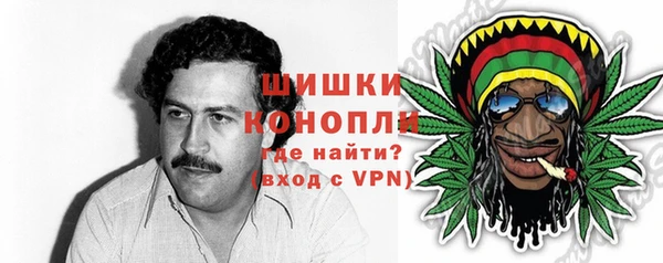 герыч Мегион