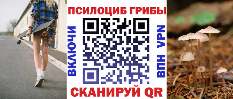 Галлюциногенные грибы Cubensis  Хадыженск 