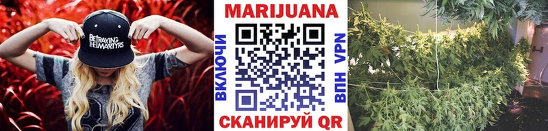 MEGA   Хадыженск  Канабис гибрид 